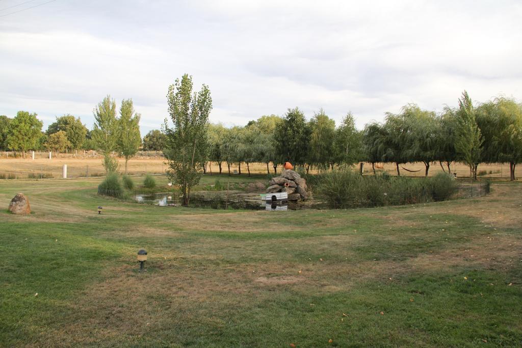 O Pelicano Alfaiates Exterior photo